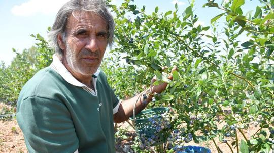 Sadece kendi kazanmıyor! ‘Avrupa’da yapıyorlar, biz ülkemizde neden yapmayalım?’ dedi, bütün bölgeye örnek oldu