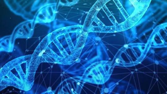 Yaşamın temeli RNA ve DNA'ya dayanmıyor mu?