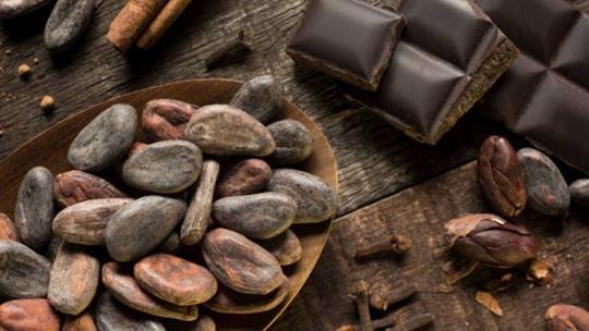 Çok fazla çikolata tüketmek ölüme sebep olur mu?