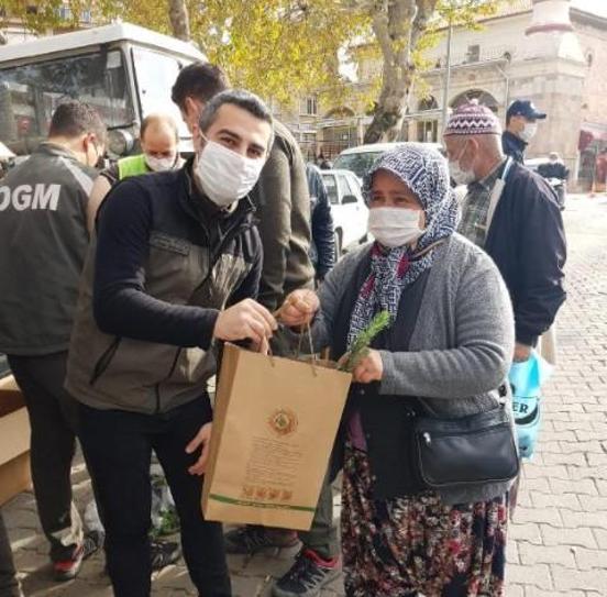 Çanakkalede vatandaşlara 2 bin fıstık çamı fidanı dağıtıldı