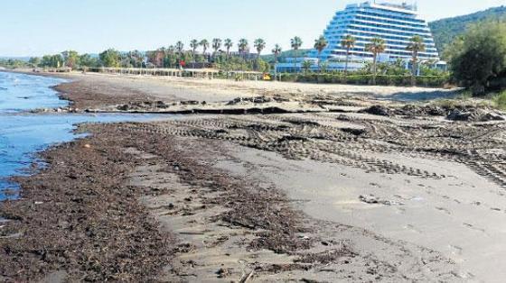 Ülke turizmine ve tarım alanlarına zarar veriyor