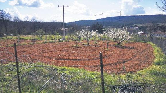 Doğaya dönüş zamanı