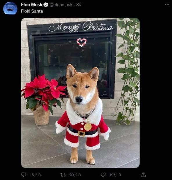 Elon Muskın paylaşımı kripto parayı uçurdu