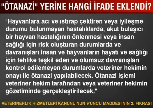 4 milyon başıboş köpek var Bakan Yumaklı’dan sokak hayvanları düzenlemesi açıklaması: 2 yıl cezası var