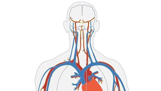 Damarlarda ilerleyerek belirli dokulara ilaç ulaştırabilen mikro robotlar test edildi