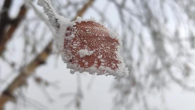 Hava sıcaklığı eksi 14,6 dereceye düştü, Göle ilçesi buz tuttu