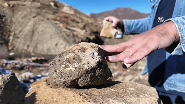 Köylüler yıllardır sıradan bir taş zannetti! Gerçek şaşkına çevirdi