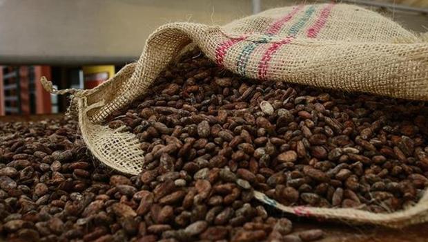 Türkiye kakaodan 1,7 milyar dolar kazandı