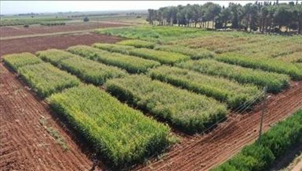 32 ildeki bazı taşınmazlar özelleştirme kapsamına alındı