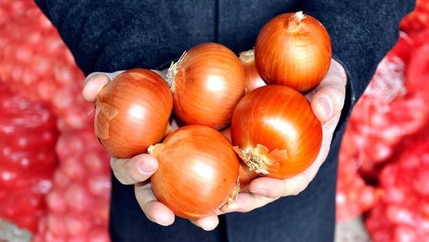 Kuru soğan ihracatı 15 kat arttı