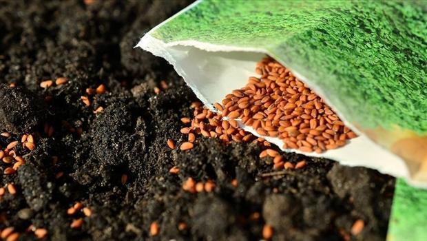Türkiye`nin sertifikalı tohum ihracatı 20 yılda yaklaşık 8 katına çıktı