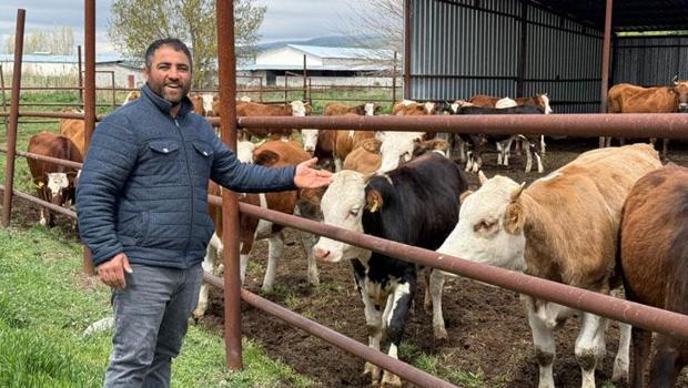 Eskişehir’de büyükbaş kurbanlık bitti