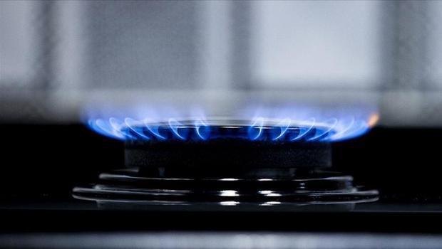 Doğal gaz ithalatı martta arttı