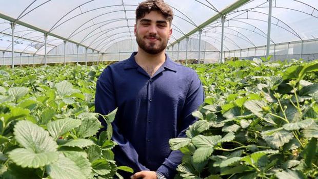 Yapay zeka ile çilek hasadı! 21 yaşındaki genç ihracata başladı