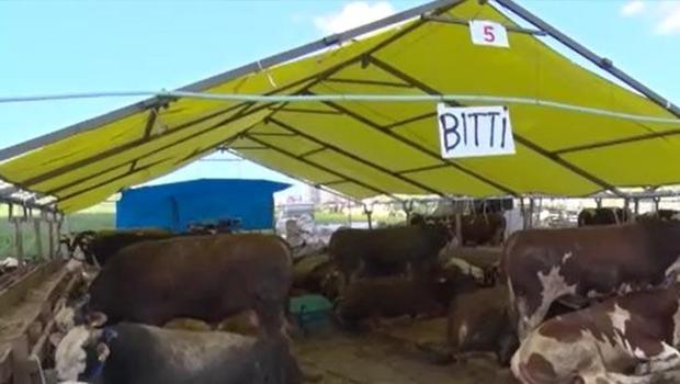 Kurban bayramına saatler kala pazarlarda hareketlilik! Çadırlara ‘bitti’ yazısı asıldı