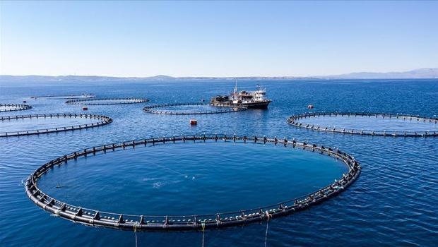 Türkiye geçen yıl 133 ülkeye 2,2 milyar dolarlık su ürünleri ihraç etti