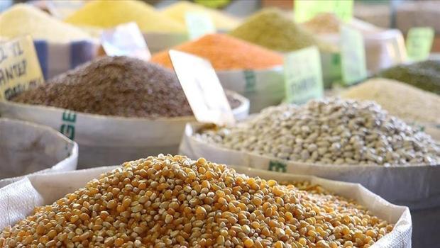 Türk hububatçılardan 4,8 milyar dolarlık ihracat