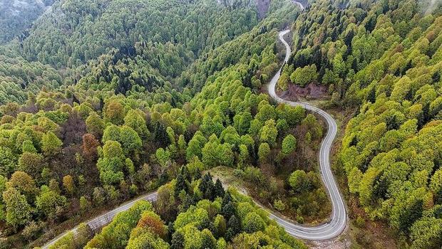 Tarım ve ormana yönelik düzenlemeleri içeren kanun Resmi Gazete`de