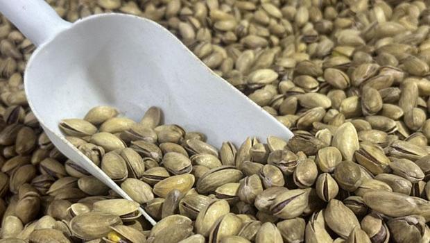 Türkiye yılın ilk yarısında 60 milyonu aşkın fıstık ihracatı yaptı