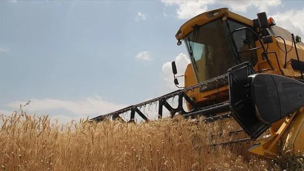 TMO, 5 milyon tondan fazla hububat aldı