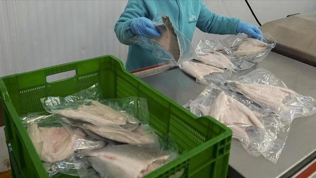 Türkiye`nin su ürünleri ve hayvansal mamulleri ihracatı 1,9 milyar doları aştı
