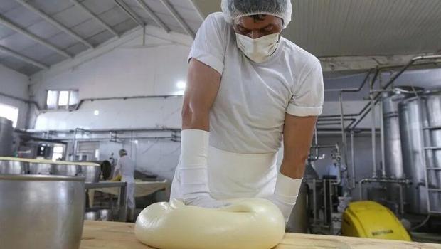 Kars`ta yıllık yaklaşık 19 bin ton coğrafi işaretli kaşar ve gravyer peyniri üretiliyor