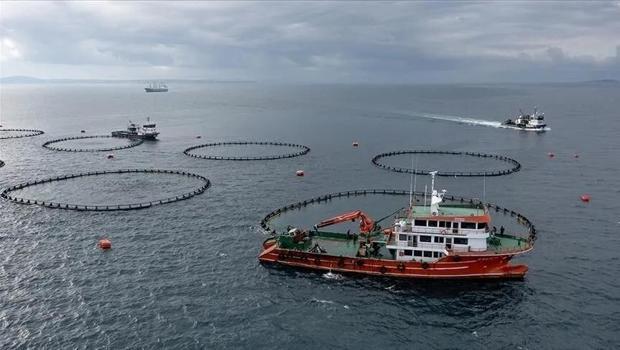 Karadeniz`in su ürünleri ihracatı 186 milyon doları aştı