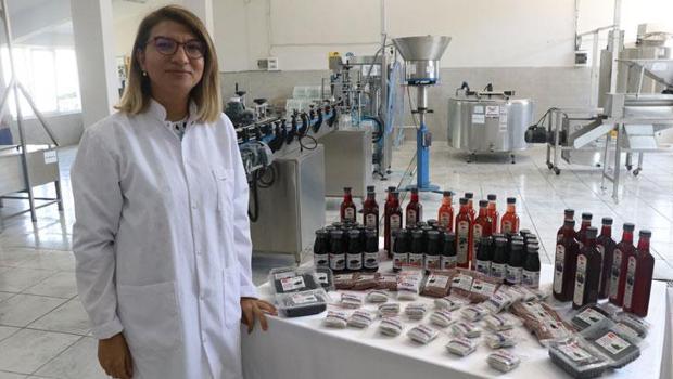Bakanlık desteğiyle kurulan tesiste Yalova aronyası katma değere dönüşüyor