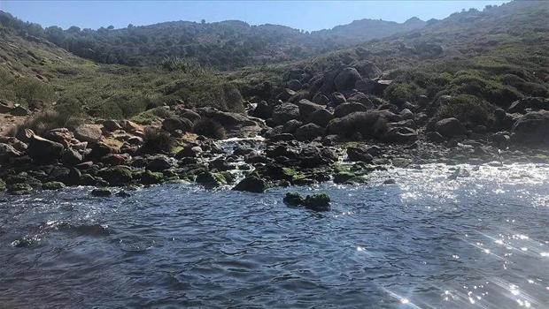 Yeşilköy Balıkçı Barınağı’ndan denize atık su deşarj eden İSKİ’ye 1.6 milyon TL ceza