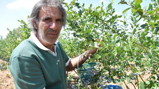 Devlet desteğiyle başladığı üretimde hedef 20 ton