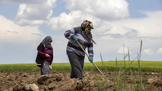 Çiftçilere yılın ilk yarısında 106 milyar lira tarımsal destek ödemesi yapıldı