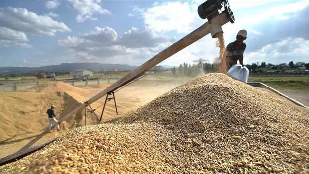 Türkiye`nin hububat sektörü ihracatı 6,9 milyar dolara ulaştı