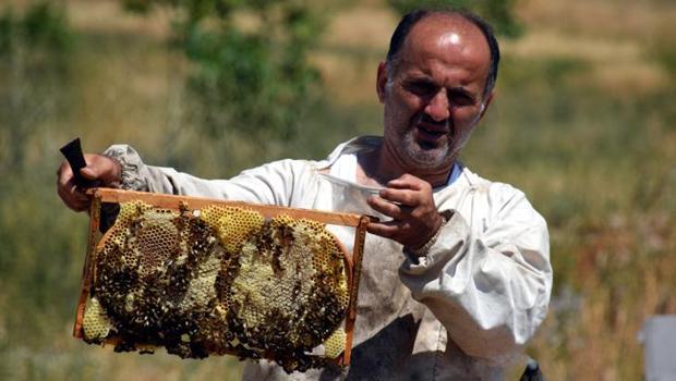 2 bin 500 metre rakımda bal mesaisi: Van`dan Türkiye`nin dört bir yanına gönderiliyor