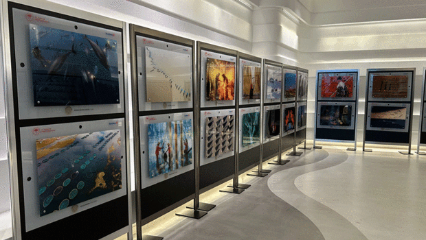 16. Uluslararası Tarım Orman ve İnsan Fotoğraf Yarışması başvuruları için son günler