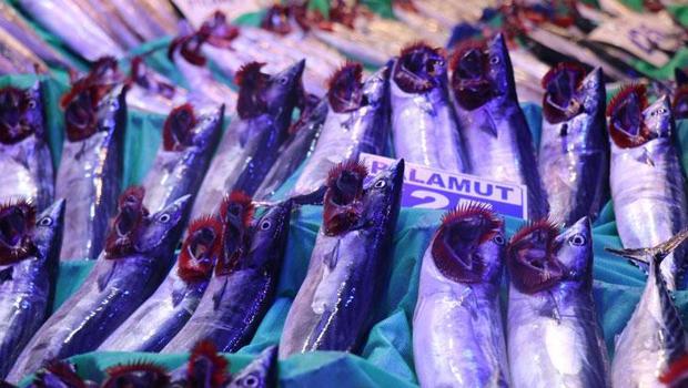 Denizlerde sezon açıldı: İşte palamut ve hamsinin ilk fiyatı!