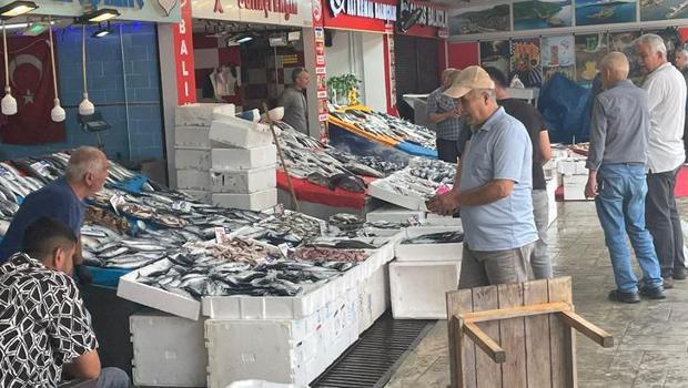 Ordu`da bol miktarda avlanan palamut tezgahları canlandırdı