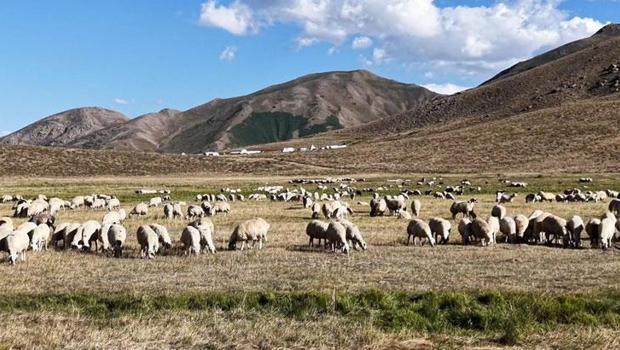150 bin liralık işçi aranıyor: Başvuran yok