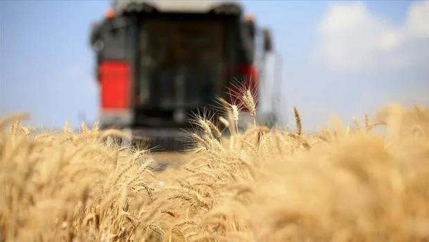 Tarımsal üretimde maliyeti azaltacak adımlar atılacak