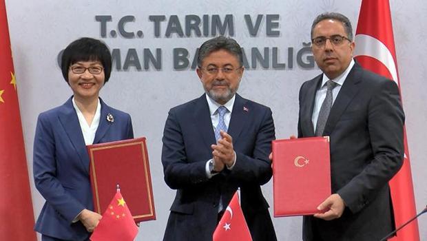 Türkiye ile Çin arasında defne ihracatı protokolü