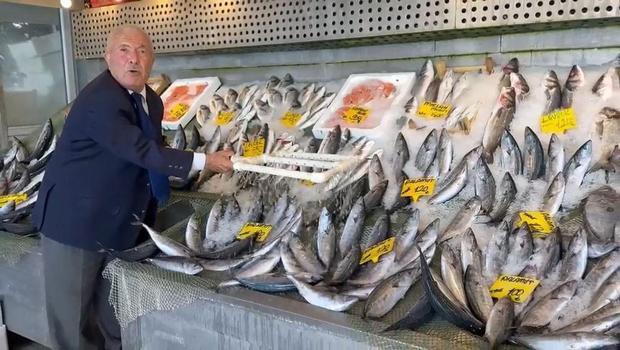Balık tezgahlarında sezon bereketi! Hamsi, palamut ve istavritte fiyatlar şaşırtıyor: `3 yıldır zam yapmadık`