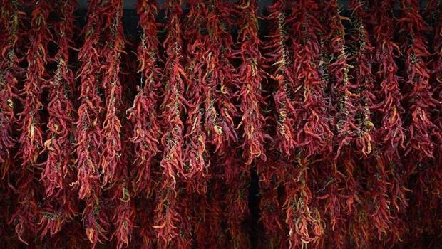 Edirne`nin ünlü acı biberinde mesai sonu: Kilosu 3 bin lira