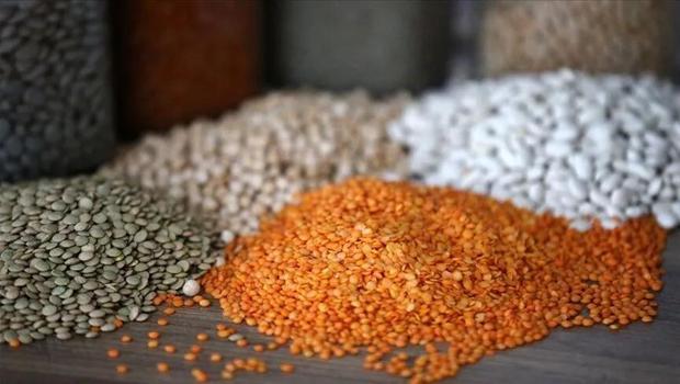 Hububat ve baklagillerin hasat süreci başarıyla tamamlandı
