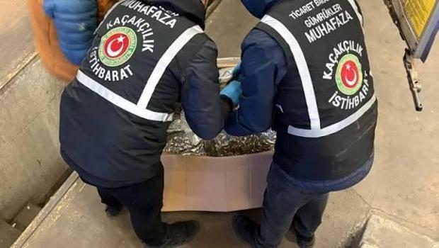 Gümrükler Muhafaza ekipleri zehir tacirlerine göz açtırmadı