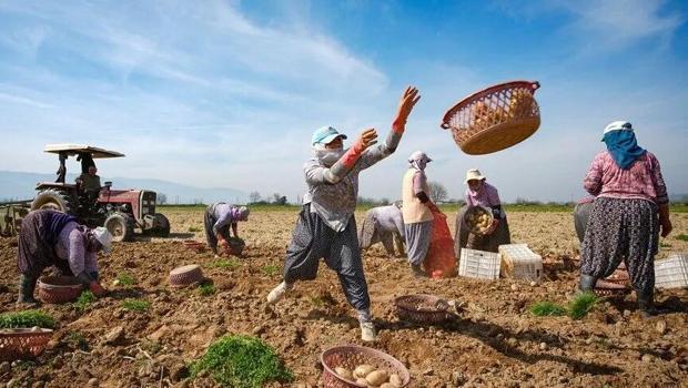 Tarıma 750 milyon dolar destek