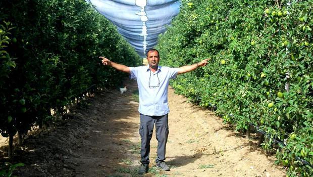 Bahçesi öyle bir yerde ki 90 dönümde 400 ton ürün çıkarıyor! 4 ülkeye gönderiyor