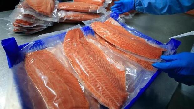 Türk somonu ihracatı 431 milyon doları aştı
