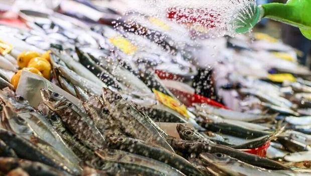 Türkiye`nin su ürünleri ihracatı 1,8 milyar dolara ulaştı