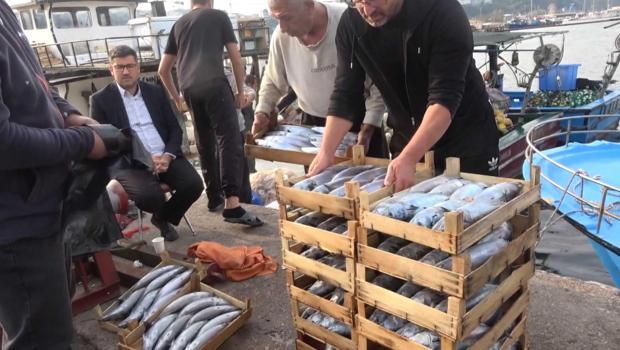 Denizden adeta palamut fışkırıyor! Kasası bakın kaç liraya düştü