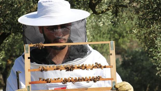 Baba mesleğini devam ettiren genç girişimci ürettiği balları ihraç ediyor