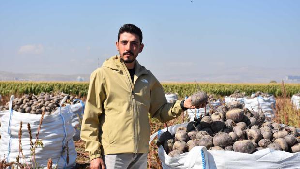 İlk defa denediler! Çok memnun kaldılar: 1000 dekara çıkacaklar